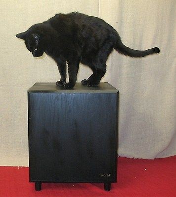 advent subwoofer in TV, Video & Home Audio