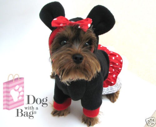 Disney Minnie Mouse Chihuahua Dog Coat Large Halloween
