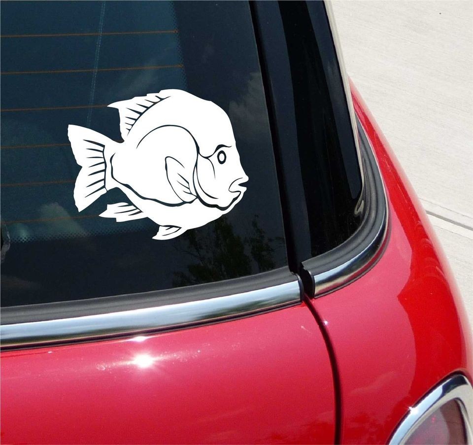 RIO GRANDE CICHLID FISH FISHING GRAPHIC DECAL STICKER VINYL CAR WALL