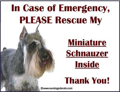 SCHNAUZER (MIN S/P)   In Case of Emergency Rescue my SCHNAUZER 