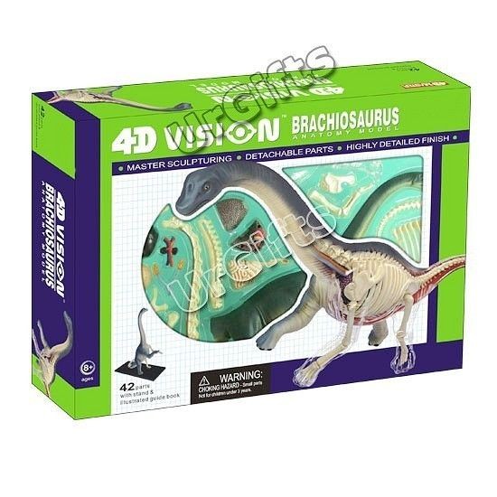 4D Puzzle Dinosaur Anatomy 3D Model Brachiosaurus Sauropod Dino 