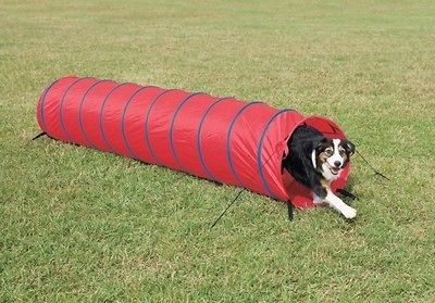 dog agility tunnel in Training & Obedience