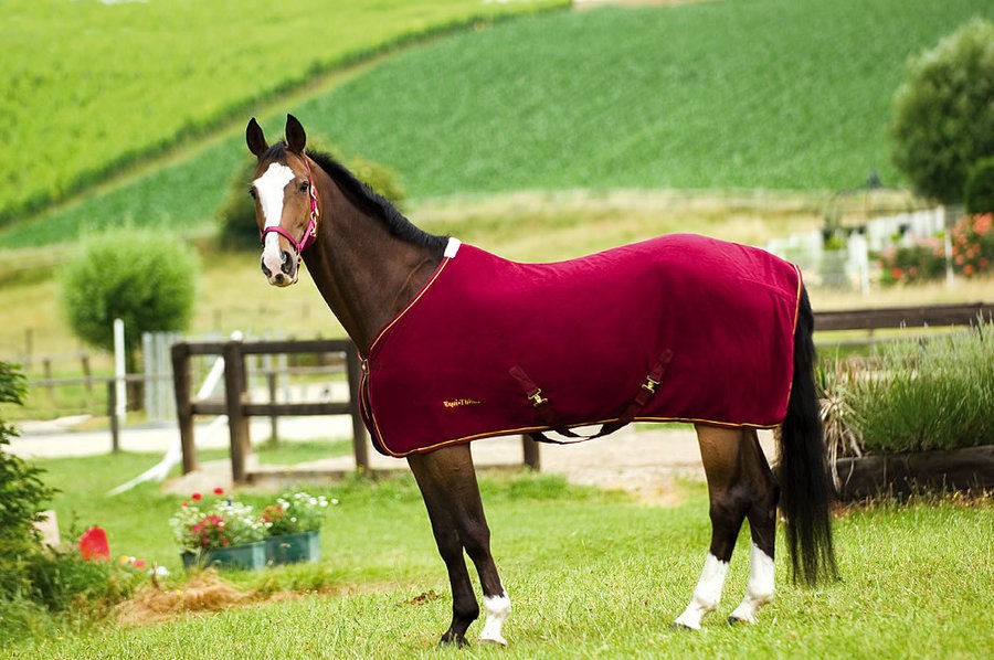 Equi Theme Polar Fleece Summer Lightweight Show Sheet/Rug   lots of 