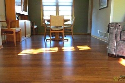 strand bamboo flooring in Tile & Flooring