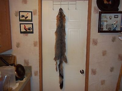 Real Animal Tanned Gray fox Fur Pelt skin taxidermy rug part