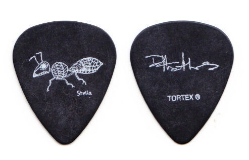 Dave Matthews Band Black Stella Ant Guitar Pick   2010 Tour