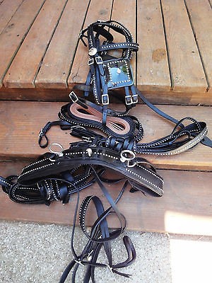 horse driving harness in Driving, Horsedrawn