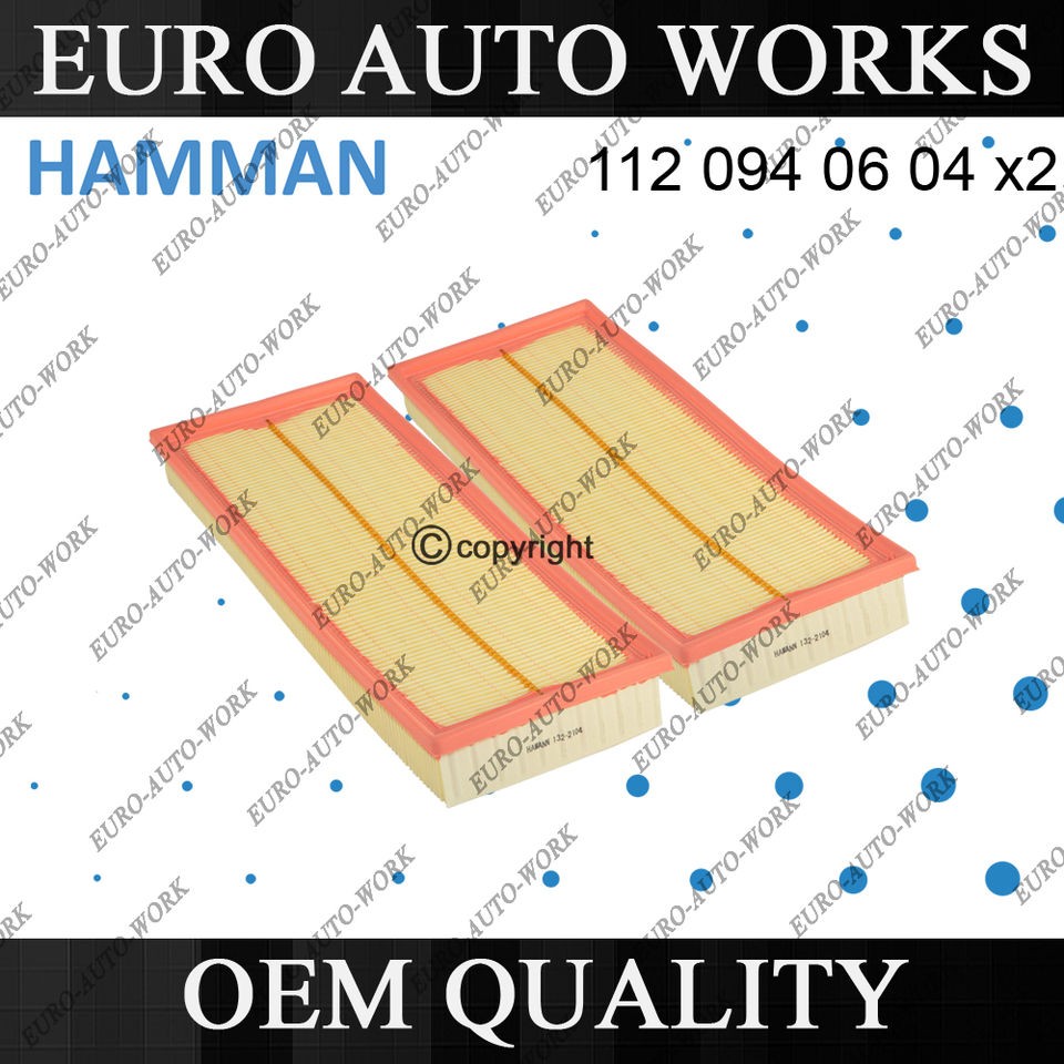 MERCEDES BENZ HAMMAN OEM QUALITY AIR FILTER (SET OF 2) (Fits C300 