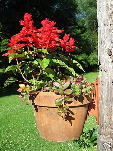 PLANT POT HANGER LATCH TERRA COTTA CLAY POTS