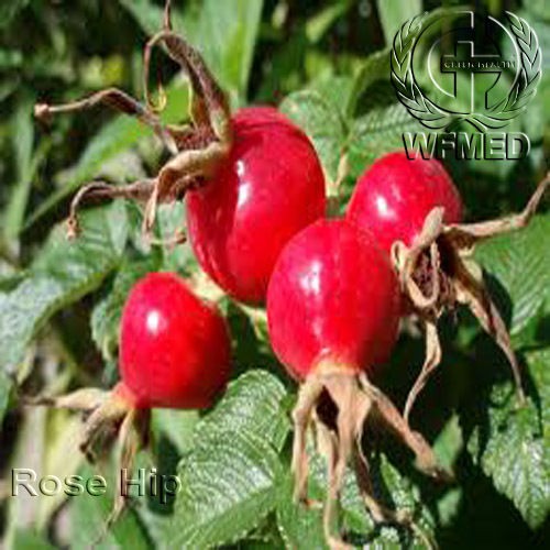 rosehip oil in Skin Care