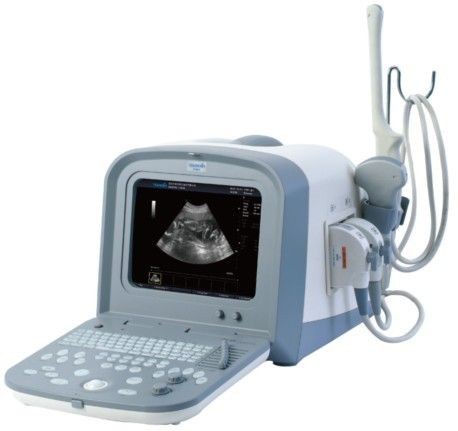   Ultrasound Machine for small or large animal work   choose your probe