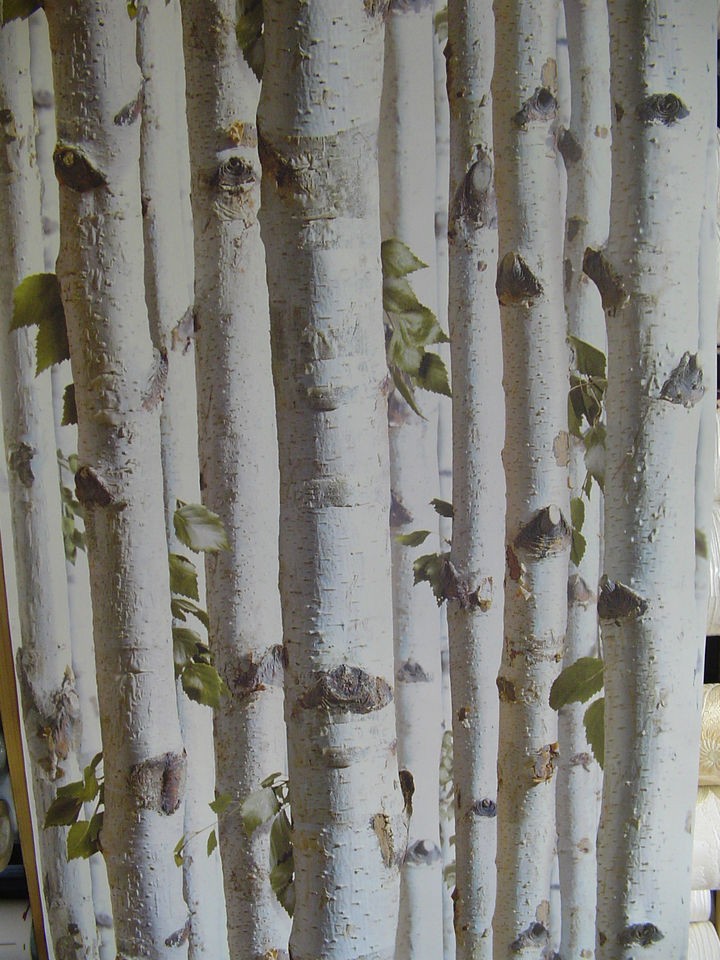 birch wallpaper in Rolls & Sheets