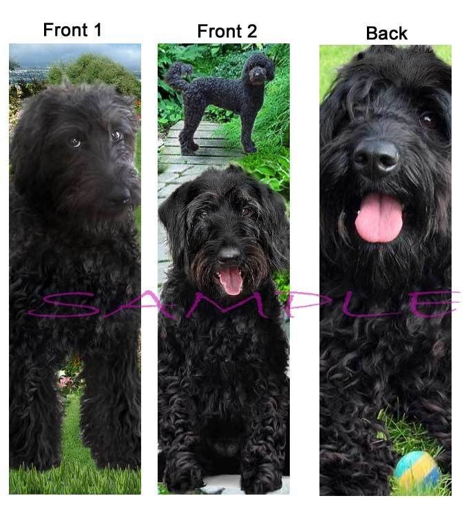 Set BLACK LABRADOODLE BOOKMARKS Lab Dog puppies book CARD figurine 