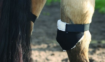 hock boots in Horse Boots & Leg Wraps