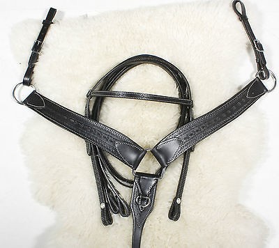 show bridles in Bridles, Headstalls