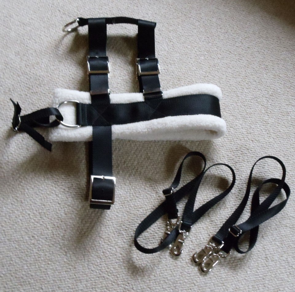 CUSTOM MADE DOG PULLING/CART HARNESS~JUST SEND ME 2 OF YOUR DOGS 