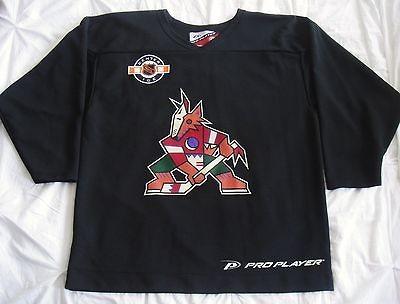 Phoenix Coyotes Vintage NHL Center Ice Pro Player Practice Jersey 