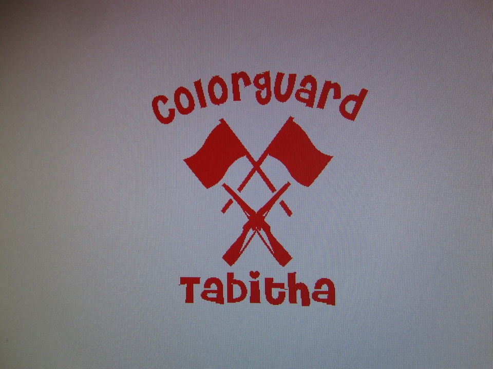 Colorguard vinyl window decal sticker 23 colors color guard school 