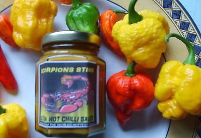 ULTRA HOT CHILLI SAUCE, SCORPIONS STING. JOLOKIA, T SCORPIONS, DORSET 