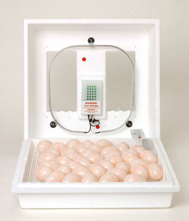 Little Giant Still Air Egg Incubator 9200 Reptile Bird