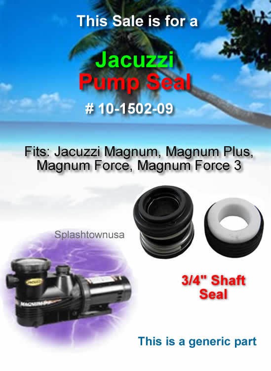 jacuzzi pumps in Yard, Garden & Outdoor Living