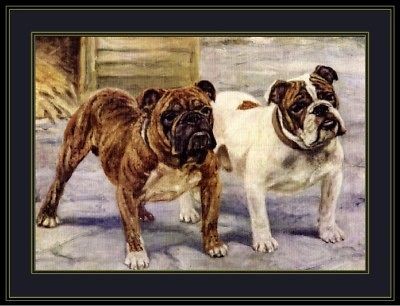 English Print Bulldog Bull Dog Buddies Art Picture