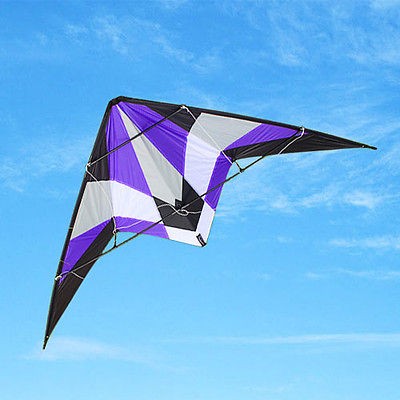 stunt kite in Kites