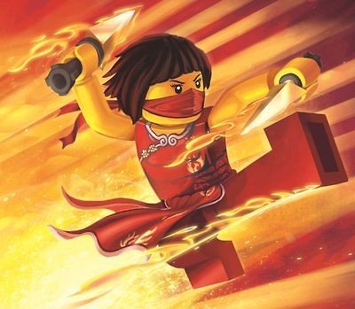 NinjaGo Sensei Wu ~ Edible Image Icing Cake, CupcakeTopper