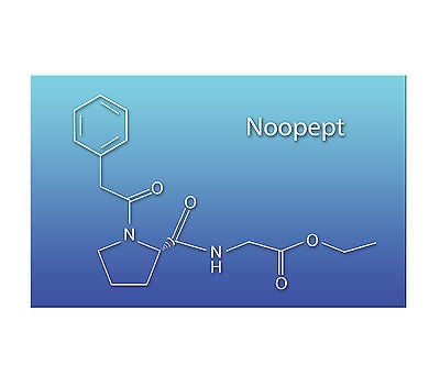 NootraBioLabs Noopept 5g Bulk Powder (1000 x stronger than Piracetam)