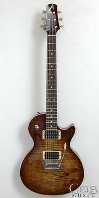   Anderson Bulldog Light Tiger Eye Burst With Hardshell Case   042912P