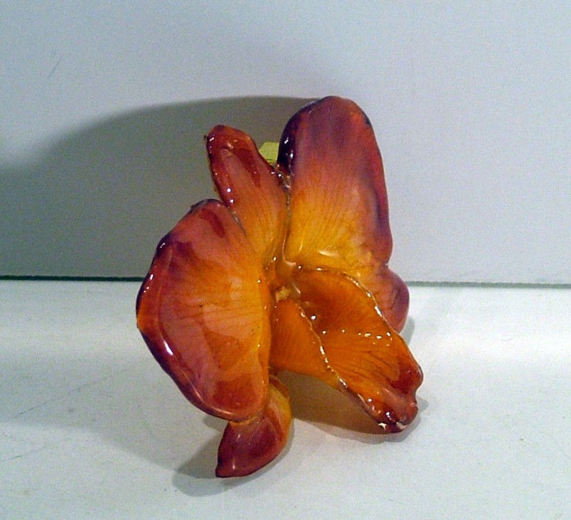 Orchid Brooch made from real flower coated with resin