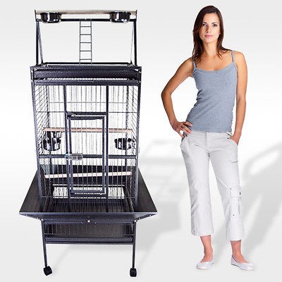   Parrot Bird Cockatiel Parakeet Finch Cage Playtop Gym Perch Stand