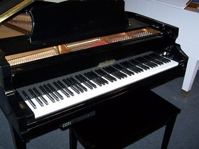 chickering piano in Grand, Baby Grand