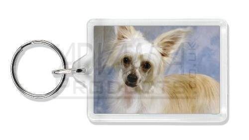 Chinese Crested Powder Puff Dog Photo Keyring, AD CHC3K