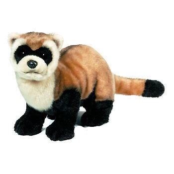 Webkinz Virtual Pet Plush   Signature Series   BLACK FOOTED FERRET 