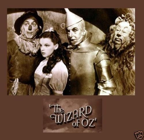 Wizard of OZ # 3   5 x 7   T Shirt Iron On Transfer