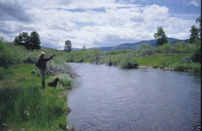 Guided Fly Fishing Trip   half day   up to 2 anglers