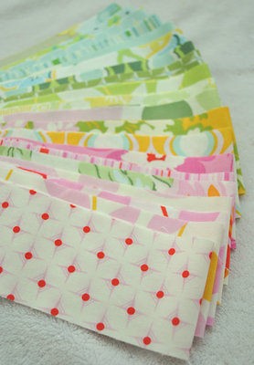 Nicey Jane by Heather Bailey Jelly Design Roll 20   2.5  Quilt Fabric 