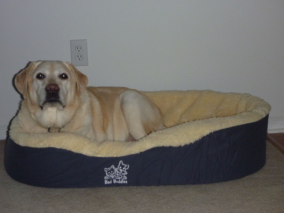 extra large dog bed in Beds