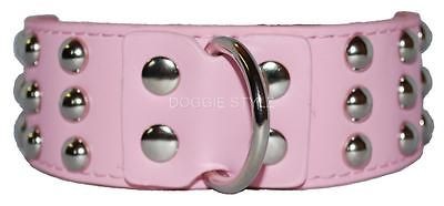   Dog Collar Silver Studs Pit bull Terrier SM Med LG XL Bully Staffy