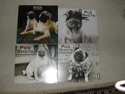 VINTAGE PUG DOG CALENDARS PUG SHOTS 2004/08/09 + 1