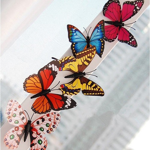 butterfly magnets in Home & Garden