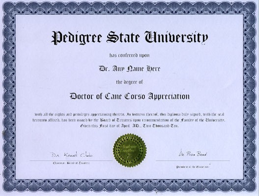 Doctor Cane Corso Novelty Diploma Dog Puppy Lover