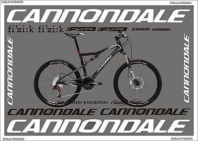 CANNONDALE RZ ONE TWENTY stickers graphics decals cannondale bikes