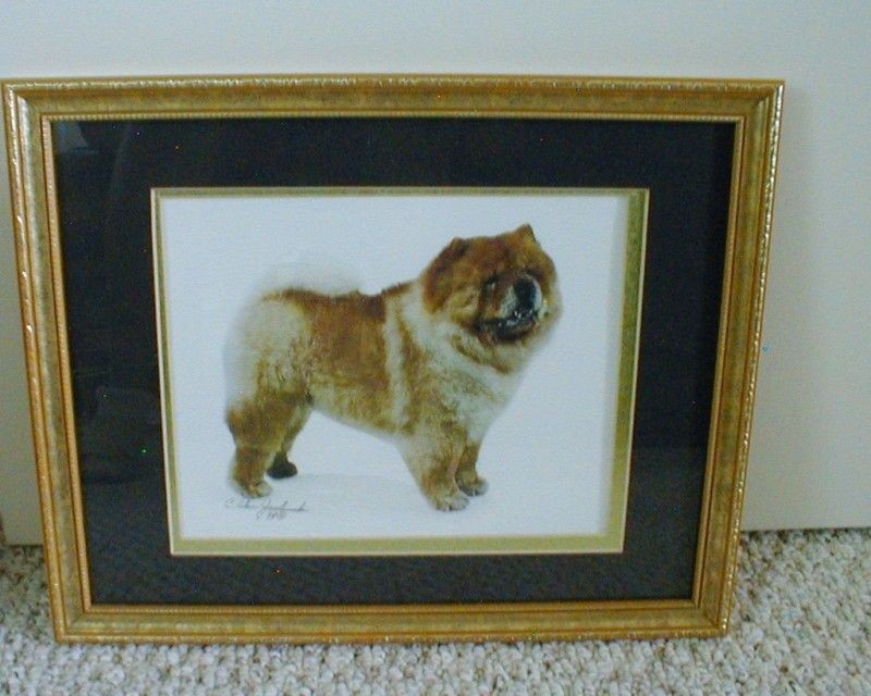 CHOW CHOW DOG FRAMED PRINT   C. ALAN JACHINSKI   1999