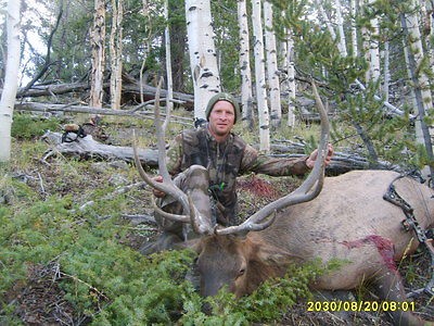   SOUTHERN COLORADO SELF GUIDED GUN BULL ELK RUT HUNT IN UNIT 681 $$599