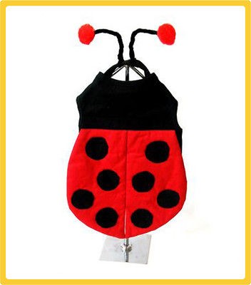 Dog RED LADYBUG Costume   sz EXTRA SMALL + 