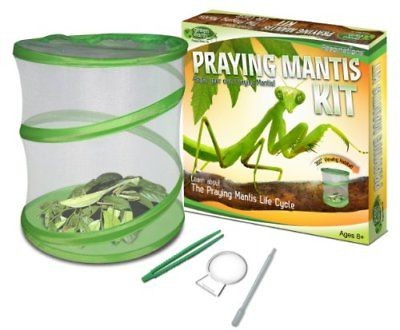 Fascinations Green Earth Praying Mantis Habitat Kit