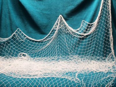   Fish, Fishing Net, Sports, Weddings, Nautical,FISHN​ET COSTUME