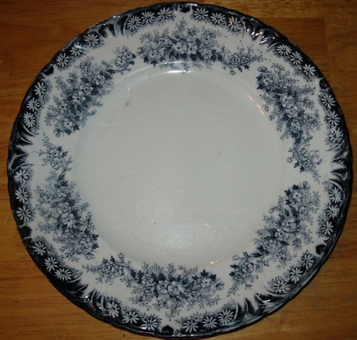 OLD SEMI PORCELAIN PLATE HANLEY ENGLAND DAISY PATTERN